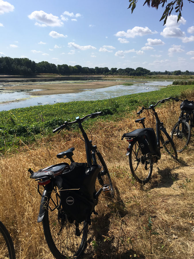 Favoriser la cohésion d'équipe : balade à vélo