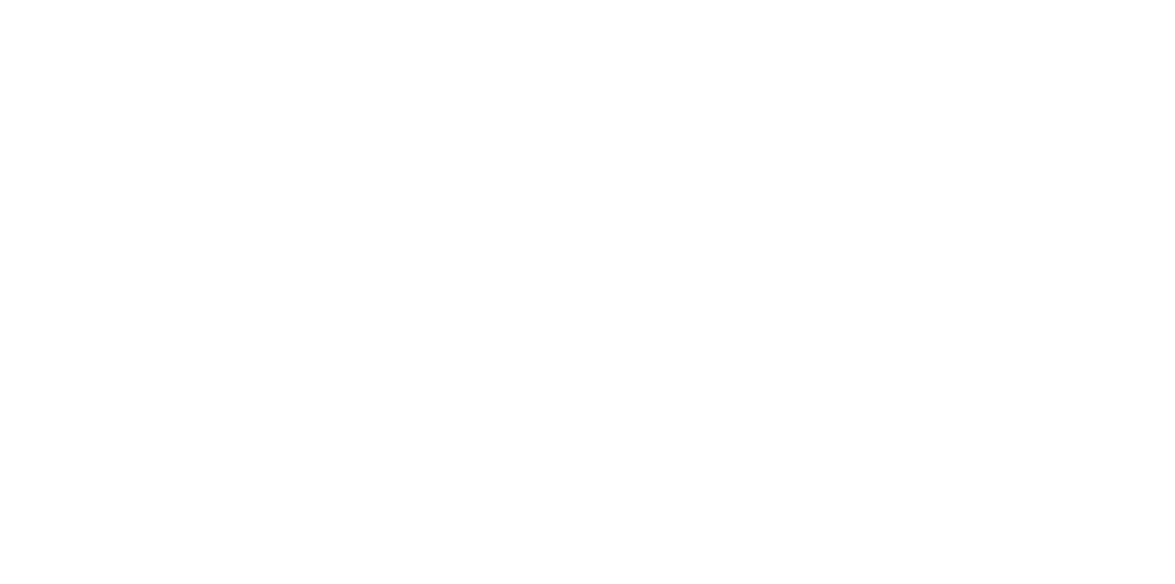 G-AUDIT