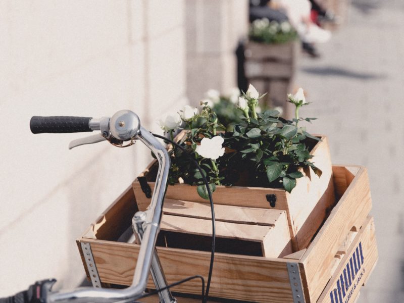 Voir le projet Les Galeries Recyclettes IRESA