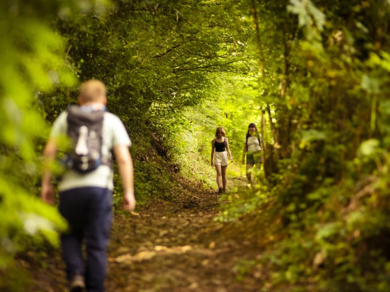 Voir le projet Mayenne tourisme