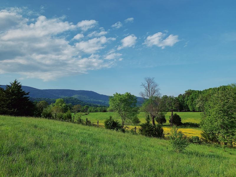 Voir le projet Saint-Martin-du-Fouilloux