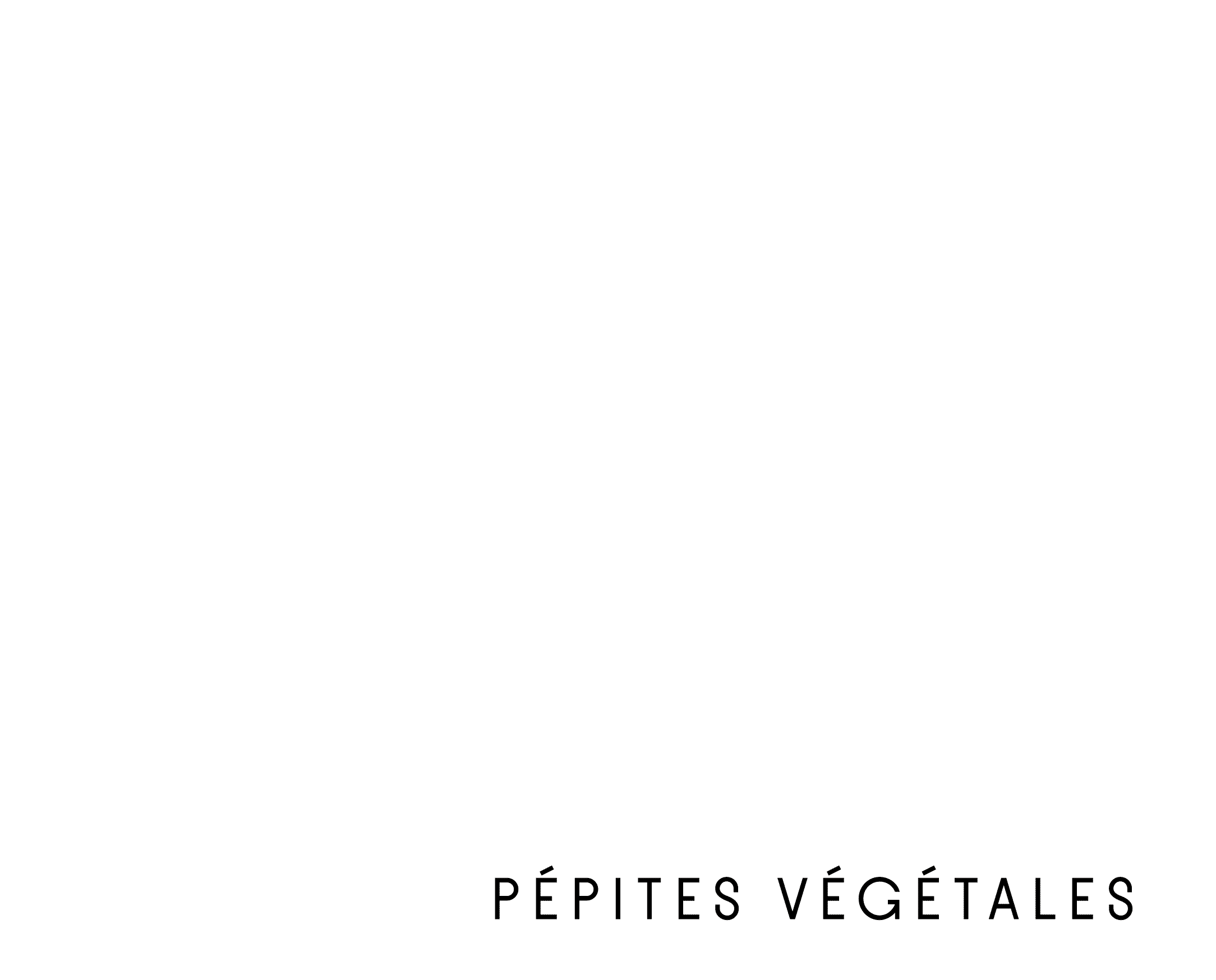 Il était une graine