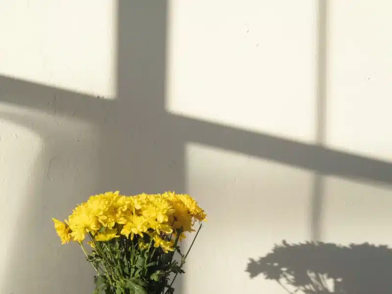 Voir le projet Noémie Legrand