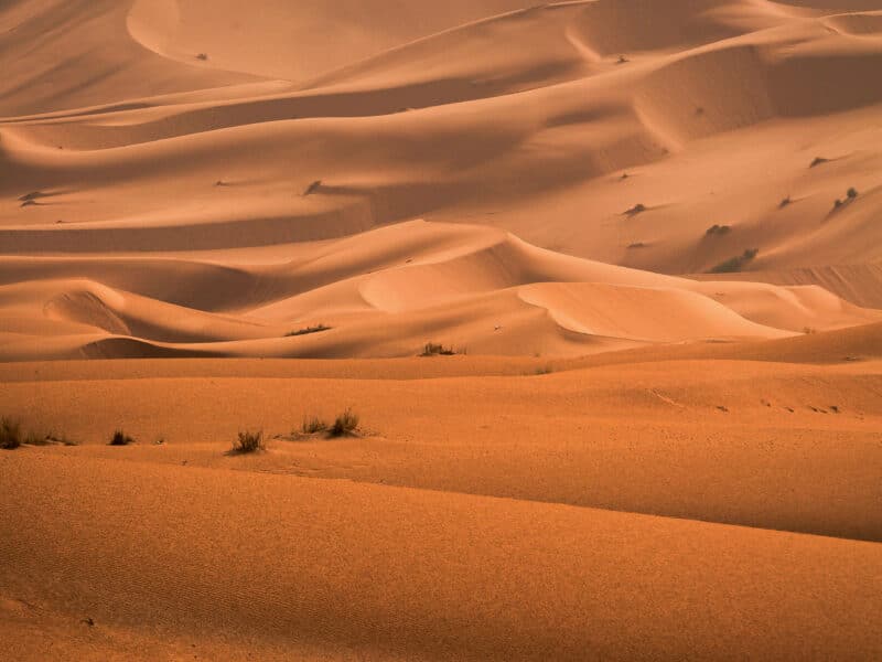 Voir le projet Marrakech Mon Amour